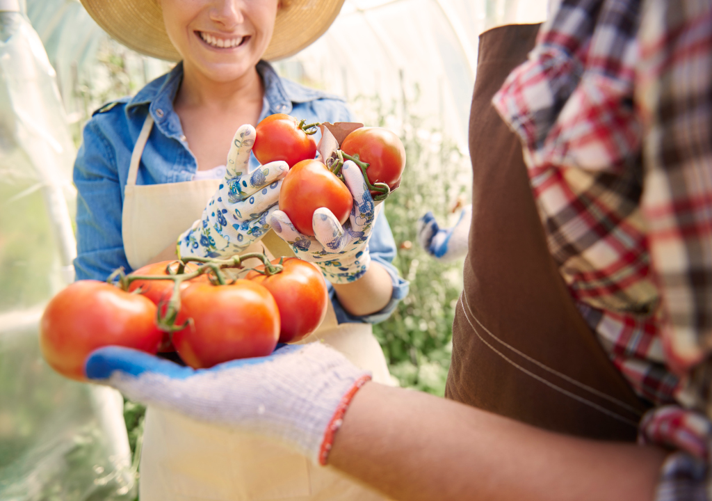 Guía para la selección de los mejores productos agrícolas para tu negocio