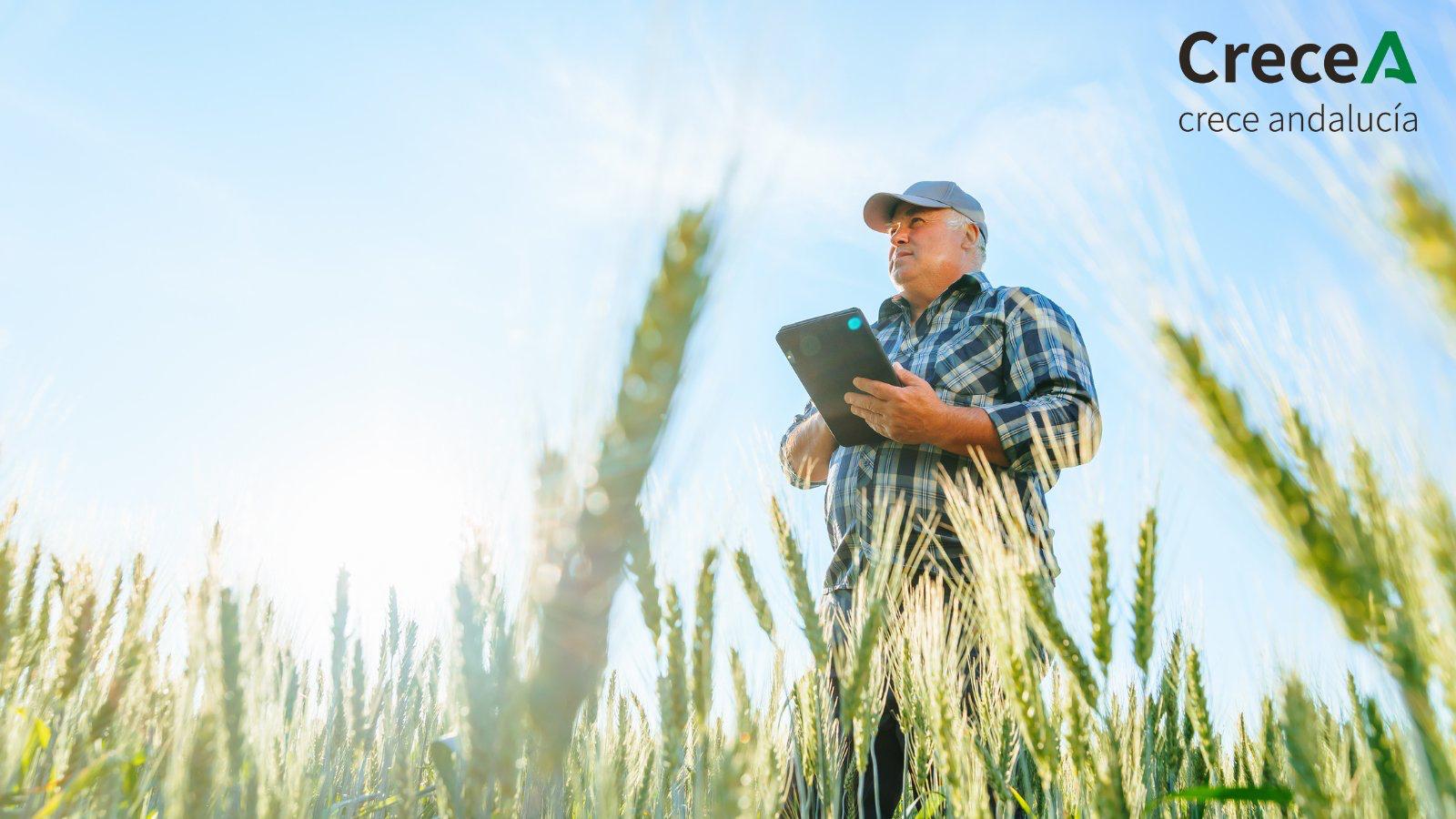 «CreceA», una iniciativa para la transformación digital del sector agrario andaluz.