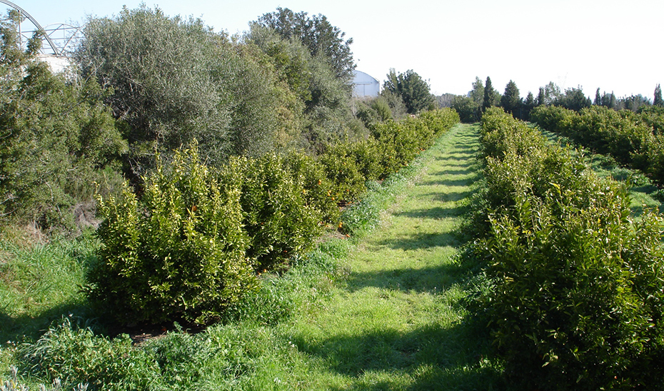 Aprobado el Proyecto de Ley para impulsar la producción ecológica