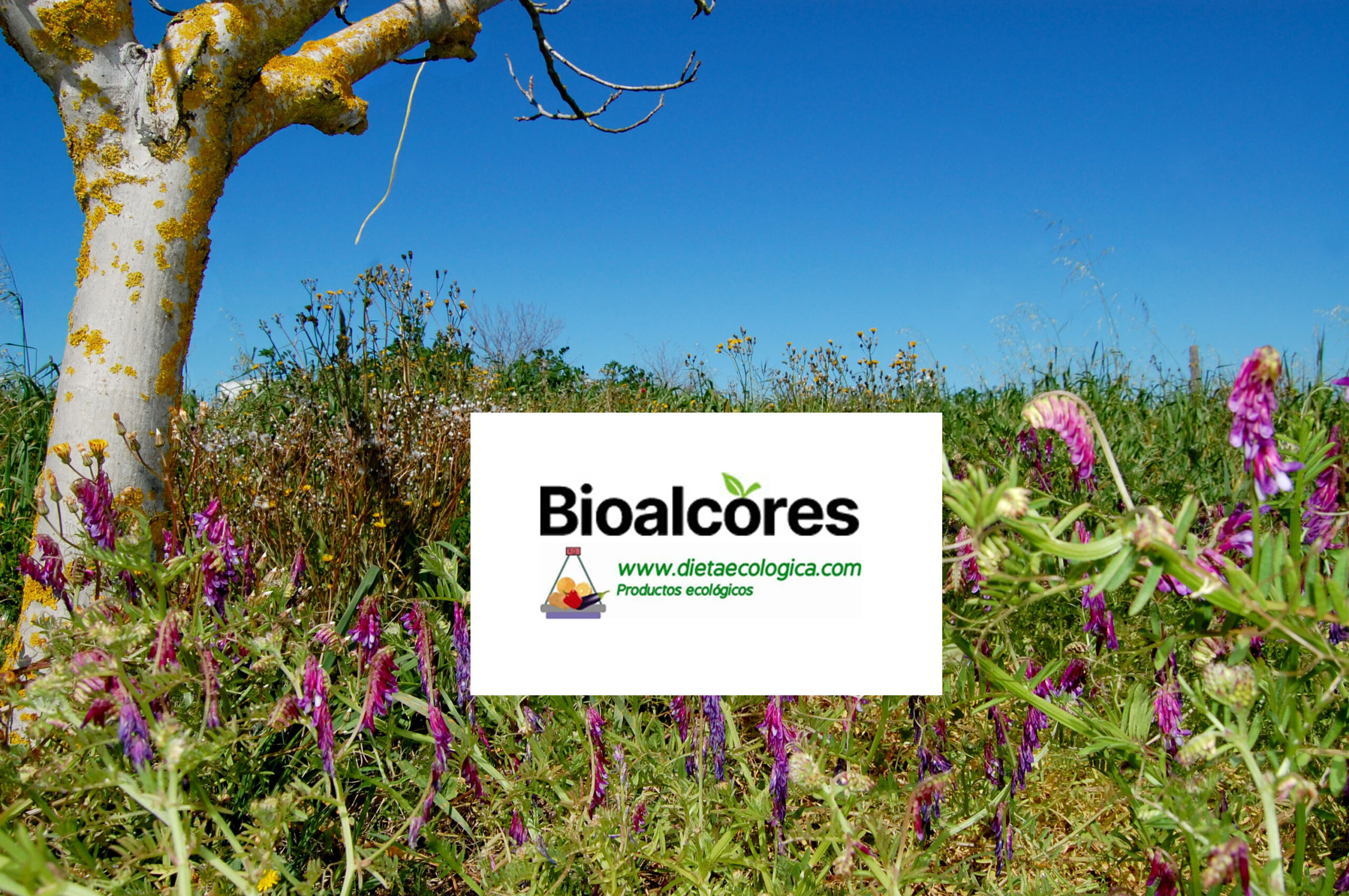 BIOALCORES – DIETAECOLÓGICA.