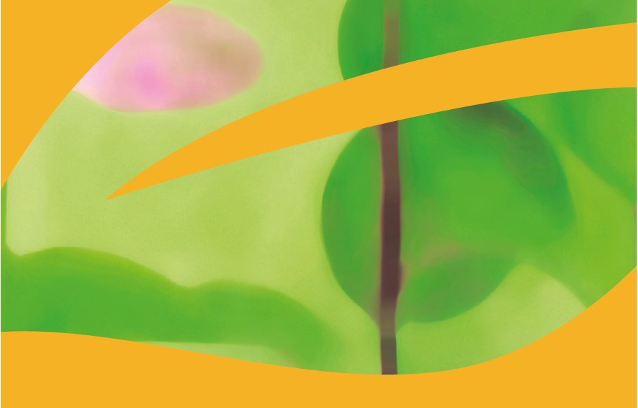 Datos de producción y consumo ecológico en España. Informe anual 2026